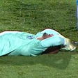 Weverton dá susto e cai no gramado antes de jogo começar