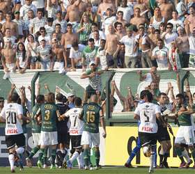 Relembre a queda do Palmeiras para Série B em 150 fotos