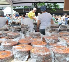 Polêmica, carne de cavalo é consumida em vários países; veja pratos