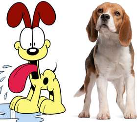 Bidu, Garfield e Pluto: veja as raças dos pets mais famosos da