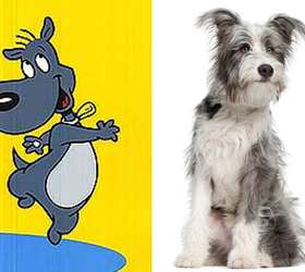 Bidu, Garfield e Pluto: veja as raças dos pets mais famosos da cultura pop  - Listas - BOL
