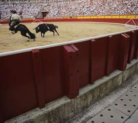 Corrida de touros tradicional na Espanha deixa seis feridos e lota as ruas  de cidade