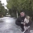 Repórter interrompe transmissão para salvar cachorro que estava sendo arrastado