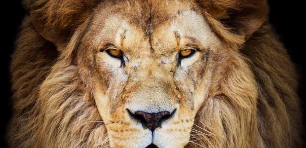 Receita libera consulta ao 6º lote de restituição do IR