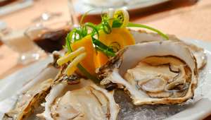 Afrodisíacas, ostras fazem sucesso em restaurantes