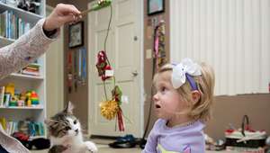 La tierna amistad de una niña sin brazo y un gato sin pata