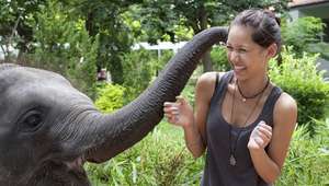 Patara Elephant Farm: casa del pequeño elefante que 'abraza'