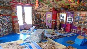 Casa é o melhor playground que seus gatos poderiam pedir