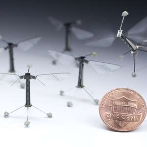 "Robô-libélula" faz primeiro voo estável após 12 anos de ...