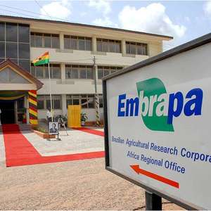 Contra a fome, Embrapa desenvolve projetos na África