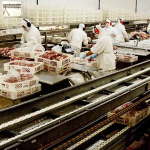 Carne brasileira busca ampliar mercado no exterior