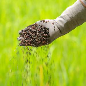 Mercado de fertilizantes ainda depende de importações