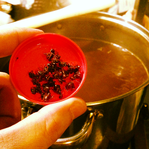 Cerveja com formiga saúva é produzida no Brasil