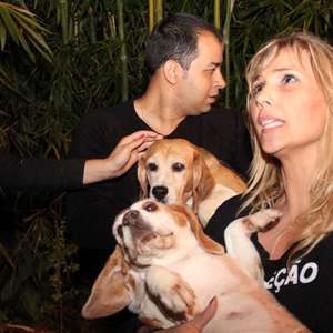 Por que os beagles são usados em pesquisas de medicamentos?