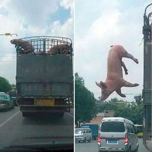 The Voice gera decepção e memes: "aceita que dói menos"