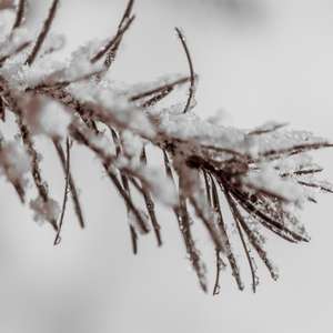 Qual foi a temperatura mais fria já registrada na Terra?