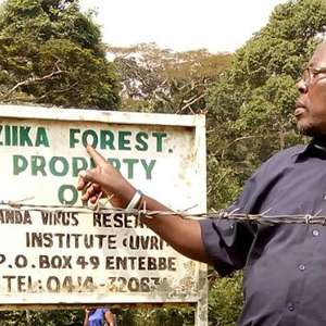 Uganda: por que o "berço" do zika nunca teve nenhum surto?