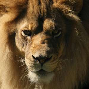 Receita libera regras do IRPF 2015; veja quem deve declarar