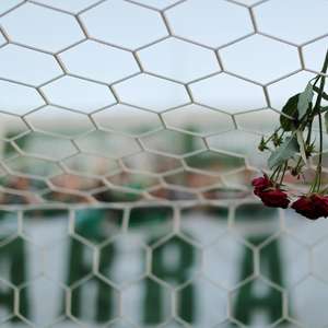 Reestreia da Chapecoense atrai imprensa do mundo todo
