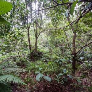 Reto viral: ¿Puedes ver a los soldados camuflados en ...