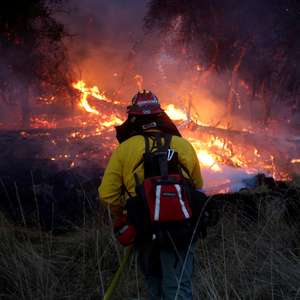 Incêndios na Califórnia matam 40 pessoas em uma semana