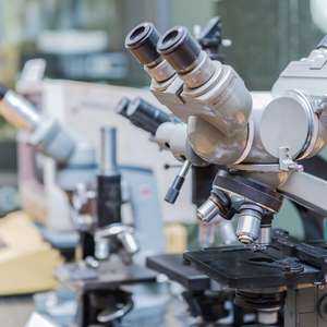 Pesquisadores do Brasil estão entre mais influentes do mundo