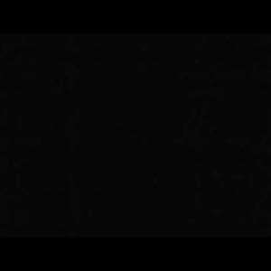 Nenhum filho/aluno a menos