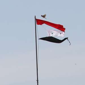 Ataques aéreos matam ao menos 44 pessoas na Síria, diz grupo