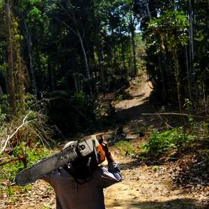 Presidente do Ibama pede exoneração