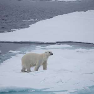 Aquecimento dos oceanos acelera e calor bate recorde em 2018
