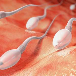 Após engolir sêmen, mulher tem reação alérgica e é internada