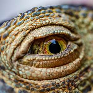 Perigo: brasileiros postam fotos dos filhos com pouca roupa