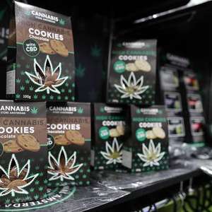 Matteo Salvini declara 'guerra à maconha'