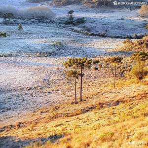 Sul do Brasil ainda tem muito frio e geada nesta quinta
