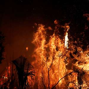 Polícia prende três suspeitos de provocar queimadas em ...