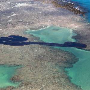 Maragogi decreta estado de alerta máximo por causa do óleo