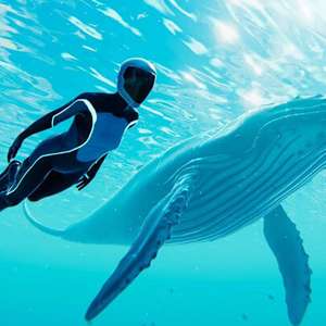 Zangado mostra como funciona Beyond Blue, o jogo sem mortes