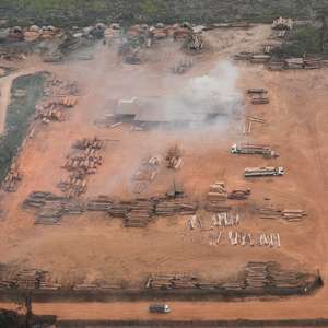 Agosto foi 2º pior mês de queimadas na Amazônia em 10 anos