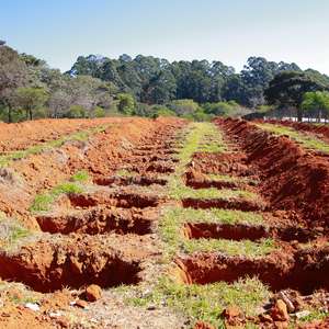 Brasil registra mais 899 mortes por covid e passa de 130 mil