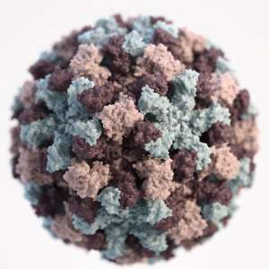 Por que a existência de 1 nonilhão de vírus na Terra é uma boa notícia