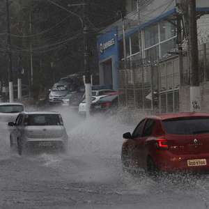 SP: chuva provoca 10 pontos de alagamento e queda de árvores
