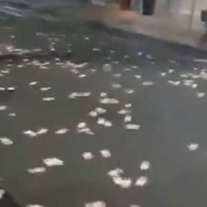 Homens são presos por furto de cédulas deixadas por bandidos