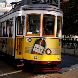 Voluntário e gratuito: Portugal aprova plano de ...