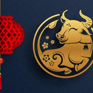 Você sabe o que é o Ano do Boi de Metal? Entenda o significado