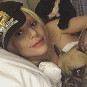 Vídeo registra o roubo violento dos cães de Lady Gaga