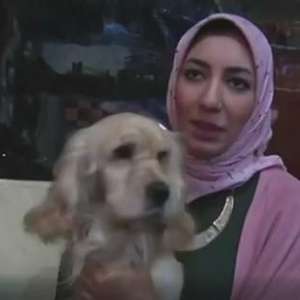 Café adaptado para receber bichos faz sucesso no Egito