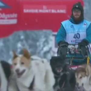 300 cães aceleram nos Alpes franceses em corrida de trenós