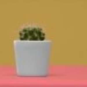 Por que deixar de vacinar é um risco à saúde pública