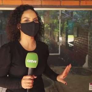 Morador de Mandaguari conta como era viver com 153 cobras em casa