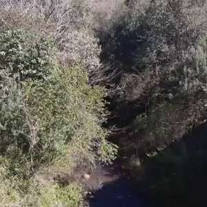 Veículo é retirado de riacho por guincho